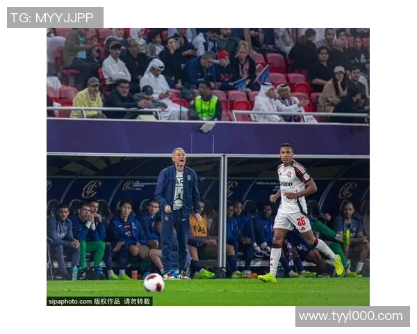 布莱尼足球明星的崛起与传奇人生揭秘，成就与挑战并存的运动之路